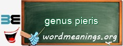 WordMeaning blackboard for genus pieris